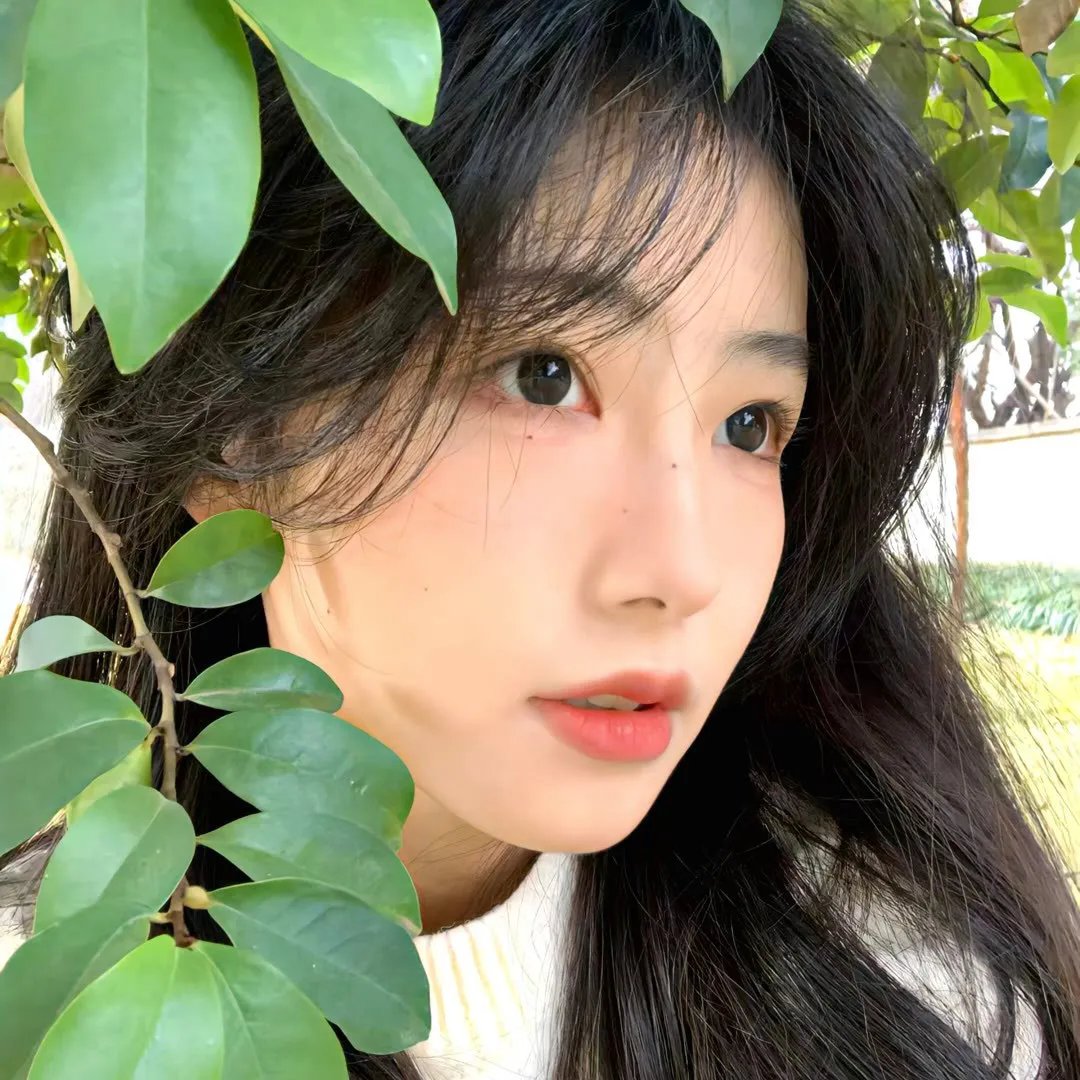 海蜇